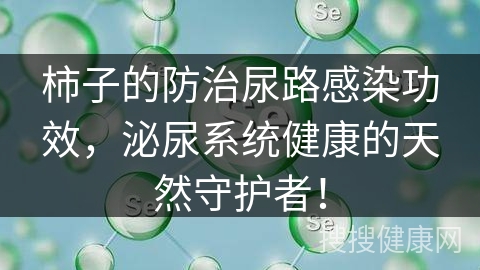 柿子的防治尿路感染功效，泌尿系统健康的天然守护者！