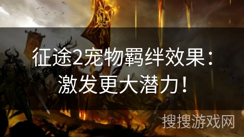 征途2宠物羁绊效果：激发更大潜力！