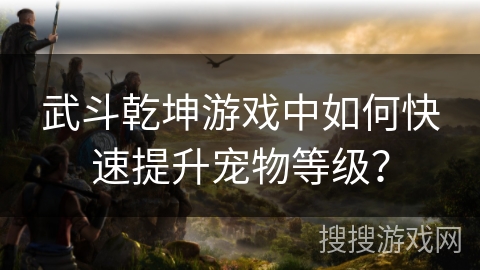 武斗乾坤游戏中如何快速提升宠物等级？