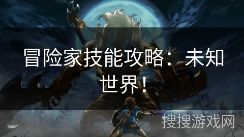 冒险家技能攻略：未知世界！
