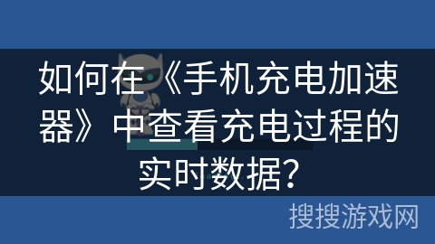 如何在《手机充电加速器》中查看充电过程的实时数据? 如何在《手机充电加速器》中查看充电过程的实时数据?