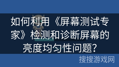 如何利用《屏幕测试专家》检测和诊断屏幕的亮度均匀性问题？