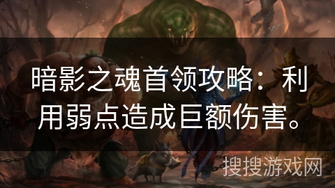 暗影之魂首领攻略：利用弱点造成巨额伤害。