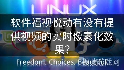 软件福视悦动有没有提供视频的实时像素化效果？