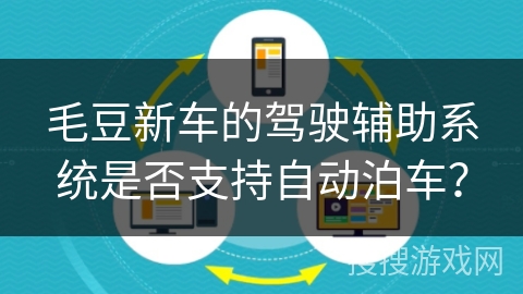毛豆新车的驾驶辅助系统是否支持自动泊车？