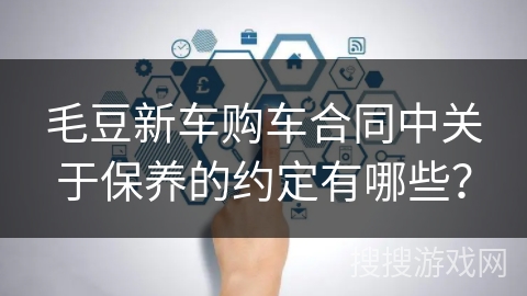 毛豆新车购车合同中关于保养的约定有哪些？