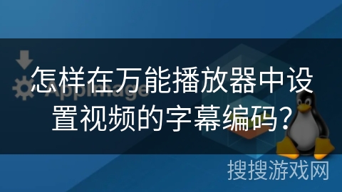 怎样在万能播放器中设置视频的字幕编码？