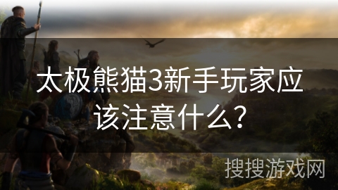太极熊猫3新手玩家应该注意什么? 太极熊猫3新手玩家应该注意什么?