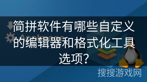 简拼软件有哪些自定义的编辑器和格式化工具选项？