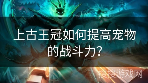 上古王冠如何提高宠物的战斗力? 上古王冠如何提高宠物的战斗力?