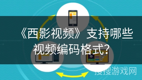 《西影视频》支持哪些视频编码格式？