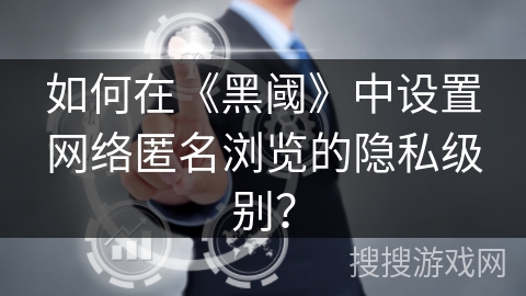 如何在《黑阈》中设置网络匿名浏览的隐私级别? 如何在《黑阈》中设置网络匿名浏览的隐私级别?