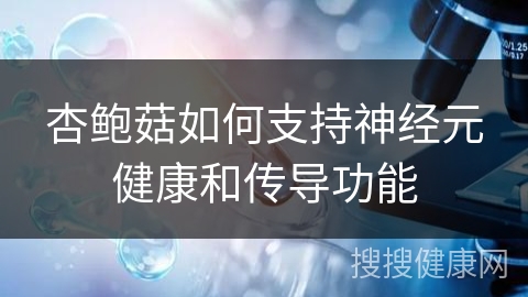 杏鲍菇如何支持神经元健康和传导功能