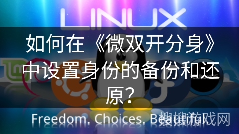 如何在《微双开分身》中设置身份的备份和还原？