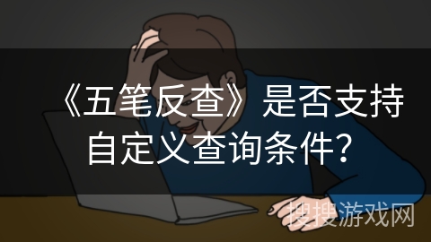 《五笔反查》是否支持自定义查询条件？