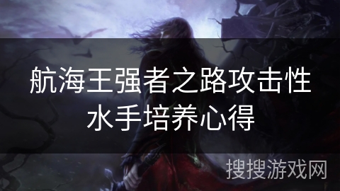 航海王强者之路攻击性水手培养心得