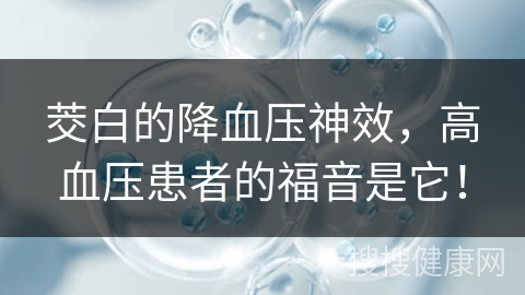 茭白的降血压神效，高血压患者的福音是它！