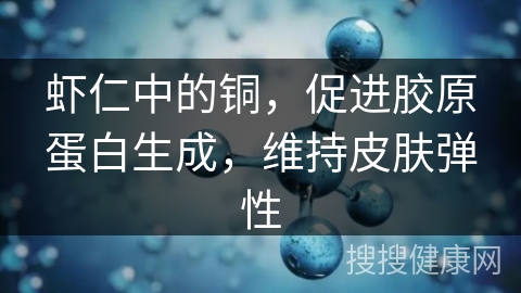 虾仁中的铜，促进胶原蛋白生成，维持皮肤弹性