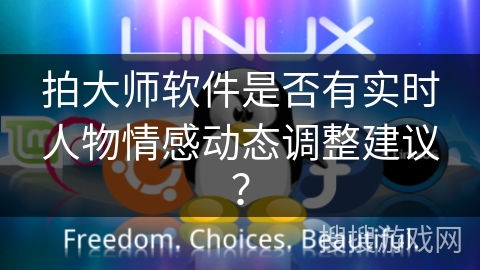 拍大师软件是否有实时人物情感动态调整建议？