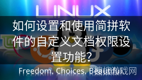 如何设置和使用简拼软件的自定义文档权限设置功能？