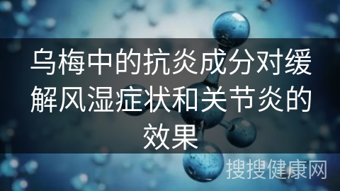 乌梅中的抗炎成分对缓解风湿症状和关节炎的效果