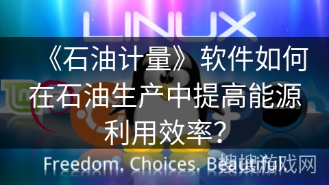 《石油计量》软件如何在石油生产中提高能源利用效率? 《石油计量》软件如何在石油生产中提高能源利用效率?