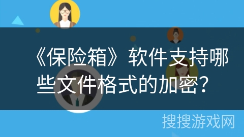 《保险箱》软件支持哪些文件格式的加密? 《保险箱》软件支持哪些文件格式的加密?