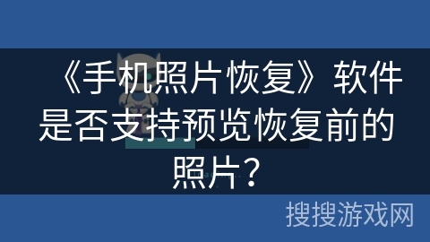《手机照片恢复》软件是否支持预览恢复前的照片? 《手机照片恢复》软件是否支持预览恢复前的照片?