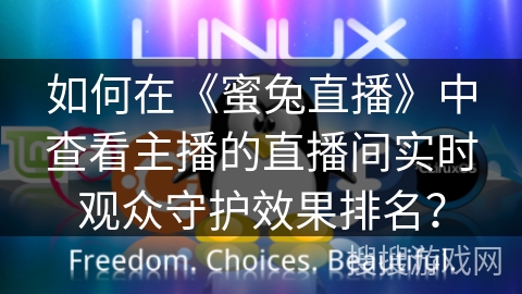 如何在《蜜兔直播》中查看主播的直播间实时观众守护效果排名？