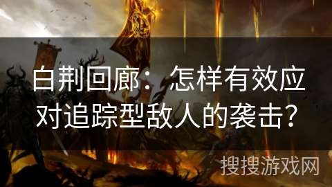 白荆回廊:怎样有效应对追踪型敌人的袭击? 白荆回廊:怎样有效应对追踪型敌人的袭击?