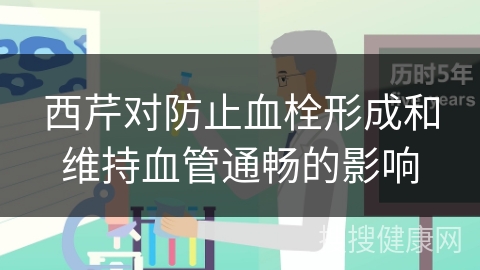 西芹对防止血栓形成和维持血管通畅的影响