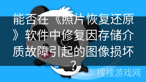 能否在《照片恢复还原》软件中修复因存储介质故障引起的图像损坏？
