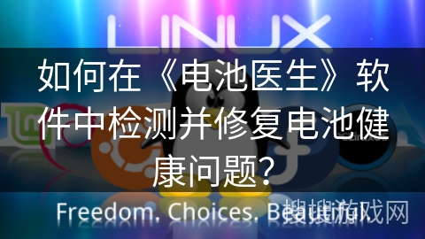 如何在《电池医生》软件中检测并修复电池健康问题? 如何在《电池医生》软件中检测并修复电池健康问题?