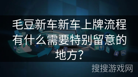 毛豆新车新车上牌流程有什么需要特别留意的地方？