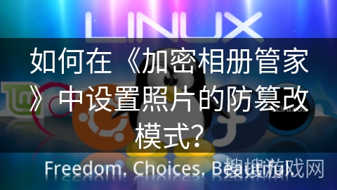 如何在《加密相册管家》中设置照片的防篡改模式？