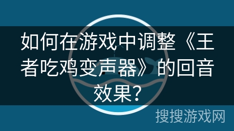 如何在游戏中调整《王者吃鸡变声器》的回音效果? 如何在游戏中调整《王者吃鸡变声器》的回音效果?