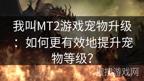 我叫MT2游戏宠物升级：如何更有效地提升宠物等级？