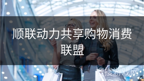顺联动力共享购物消费联盟