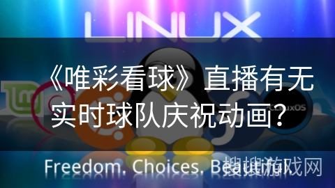 《唯彩看球》直播有无实时球队庆祝动画？