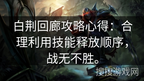白荆回廊攻略心得：合理利用技能释放顺序，战无不胜。