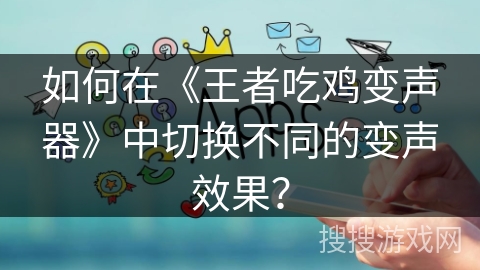 如何在《王者吃鸡变声器》中切换不同的变声效果？
