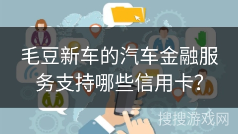 毛豆新车的汽车金融服务支持哪些信用卡？