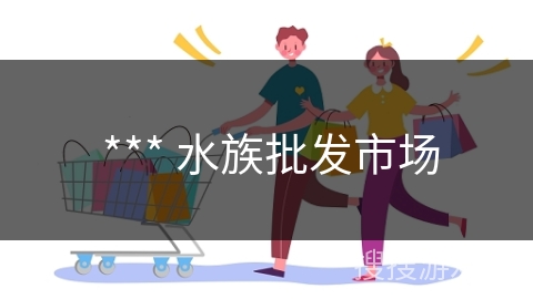  *** 水族批发市场