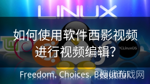 如何使用软件西影视频进行视频编辑？