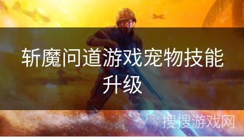 斩魔问道游戏宠物技能升级