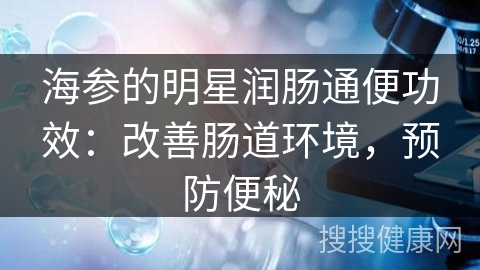 海参的明星润肠通便功效：改善肠道环境，预防便秘