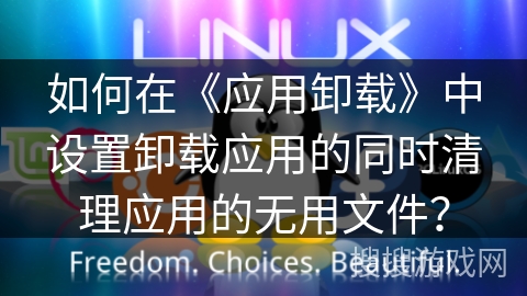 如何在《应用卸载》中设置卸载应用的同时清理应用的无用文件？