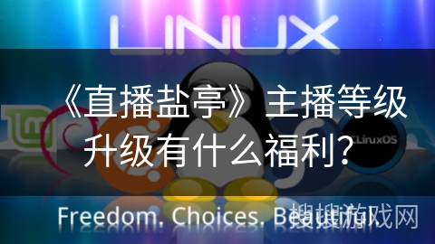 《直播盐亭》主播等级升级有什么福利？