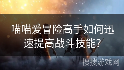 喵喵爱冒险高手如何迅速提高战斗技能？