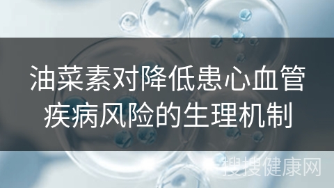 油菜素对降低患心血管疾病风险的生理机制